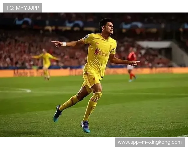 本菲卡前场轮换策略取得明显成效