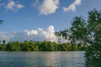 AI技术在游戏中的应用：智能NPC与自适应难度，游戏npc人工智能