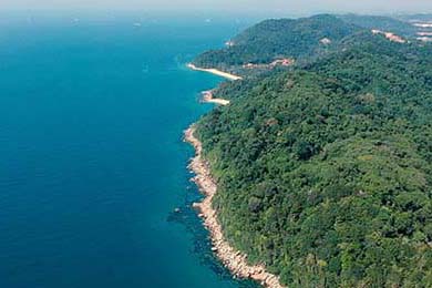 AC米兰球员皮亚尼奇在联赛中展现出色发挥，皮亚尼奇进球